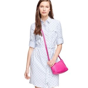Cotton Dot Stripe Shirt Dress